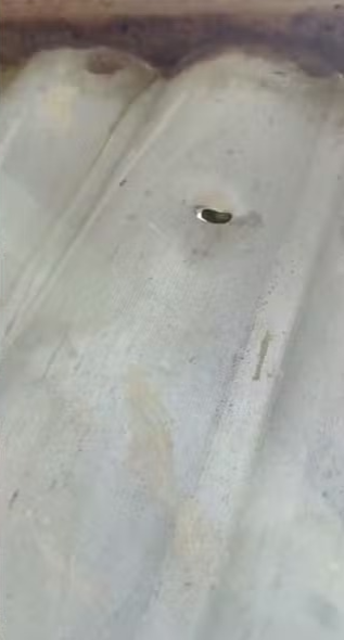 Mulher é vítima de  por Reprodução