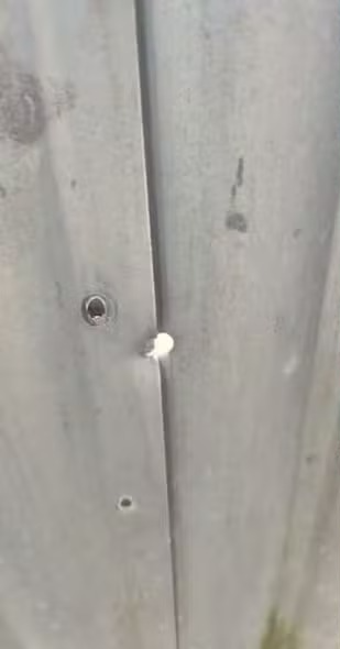 Mulher foi alvo de disparos na frente de casa por Reprodução