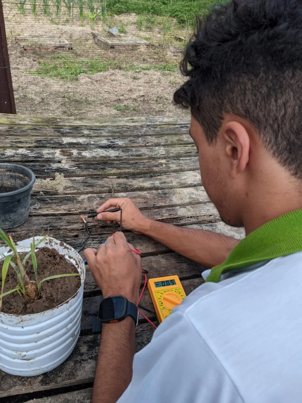 O objetivo é criar um protótipo que gere eletricidade através do solo por Arquivo Pessoal
