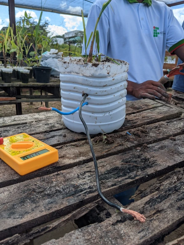 O objetivo é criar um protótipo que gere eletricidade através do solo por Arquivo Pessoal