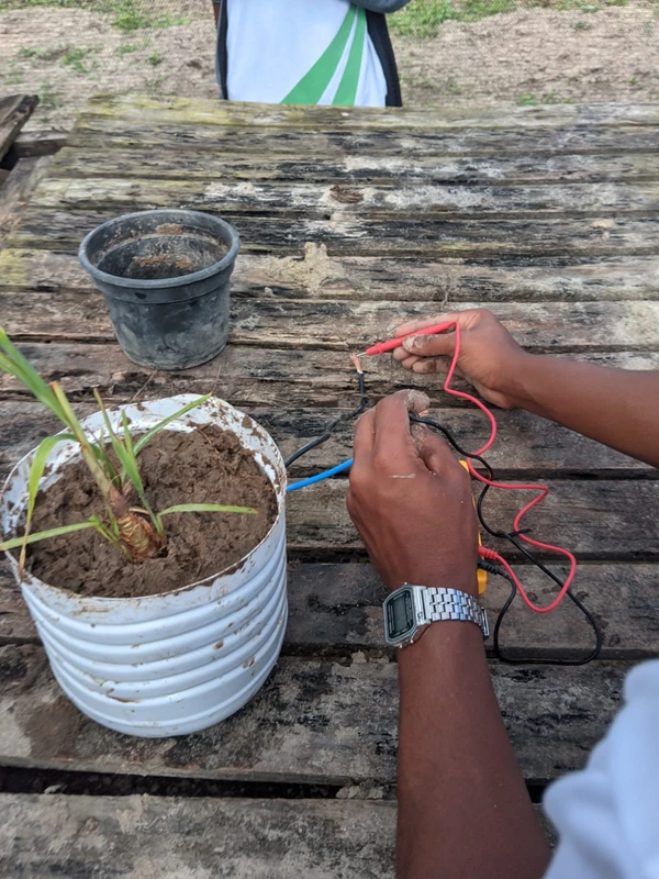O objetivo é criar um protótipo que gere eletricidade através do solo por Arquivo Pessoal