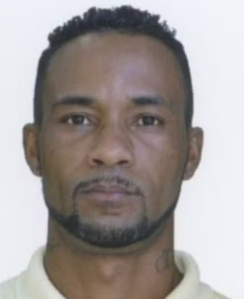  Rauflan Santos Costa por Reprodução