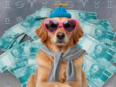 Imagem - 3 signos vão atrair dinheiro, sorte e estabilidade financeira nesta semana (entre 17 e 23 de novembro)