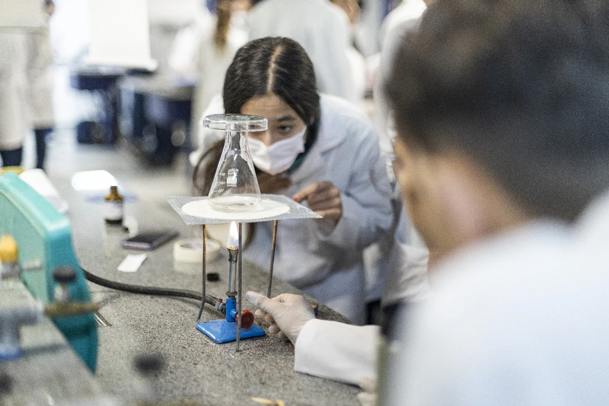 Bernoulli Educação por Divulgação Bernoulli Educação