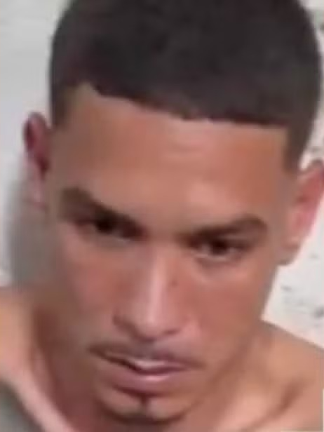 Carlos Anderson Mattos Conceição por Reprodução