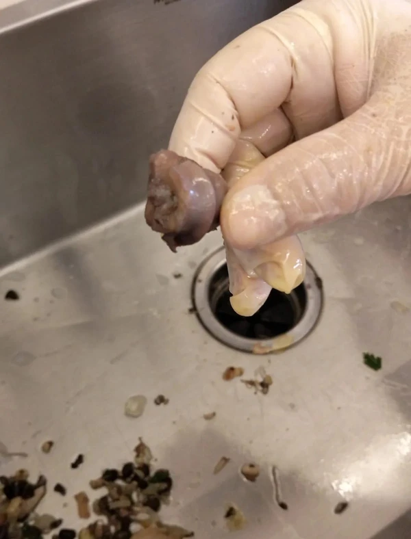 Márcio Victor deixou "zona" em Airbnb por Reprodução / Metrópoles