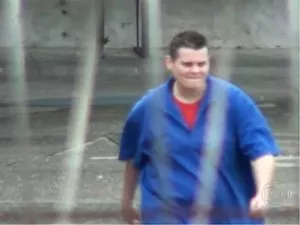 Sandrão por Reprodução