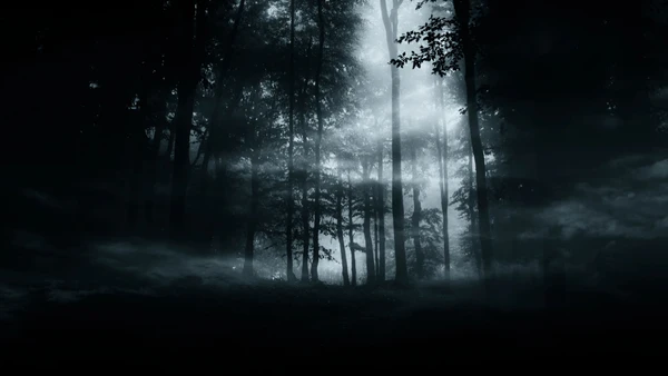 Trevas por FreePik / Pexels