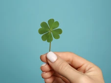 Imagem - Hora de ter sabedoria: tire a sua sorte do dia para esta quarta (12)