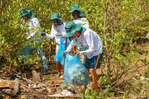 Ações são voltadas à preservação de mangues na Região Metropolitana