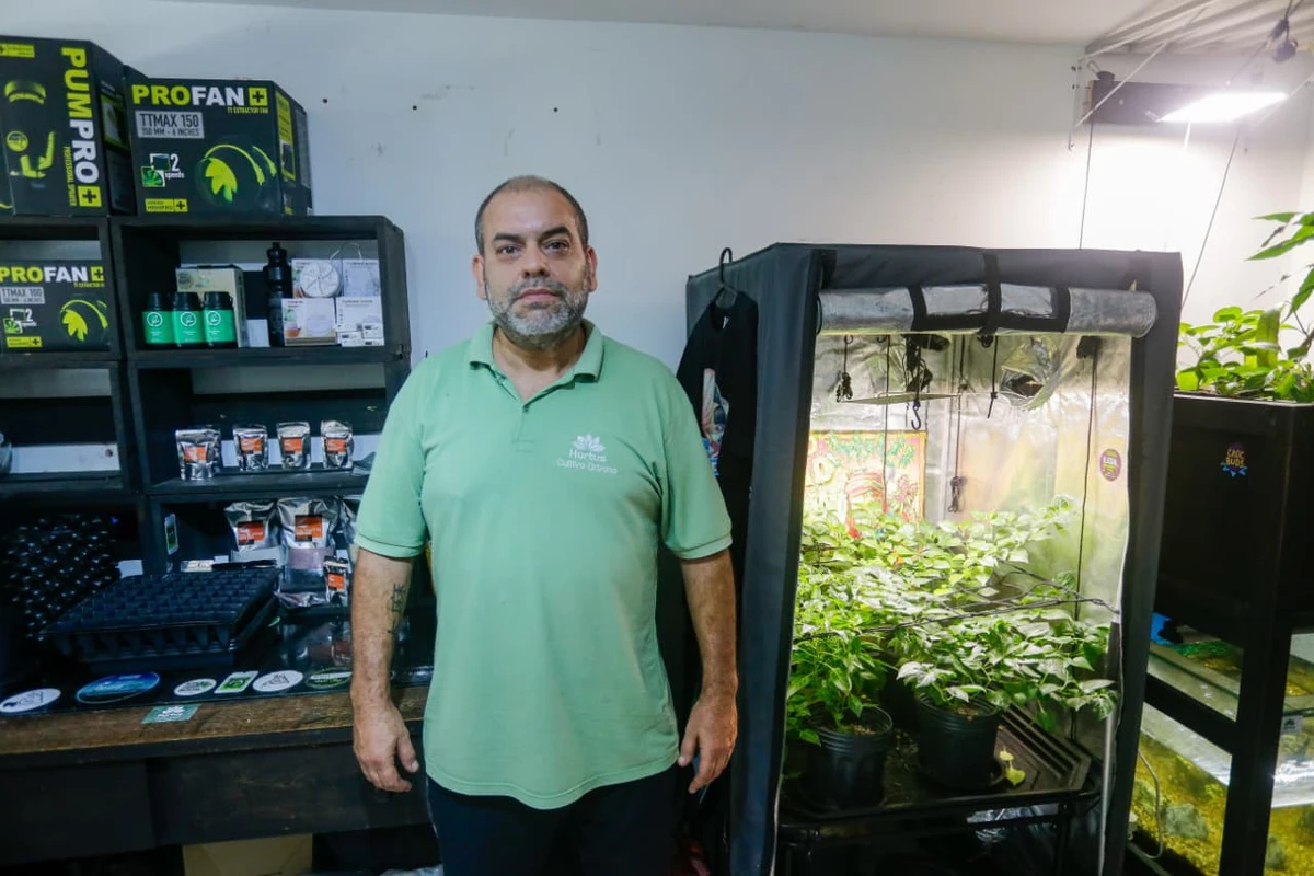 Após oito anos, loja pioneira de cultivo urbano de cannabis medicinal fecha as portas em Salvador por Arison Marinho