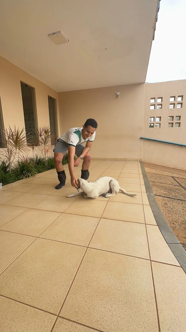 Baiano percorre 4 quilômetros ajoelhado até escola após virada histórica do Palmeiras por Reprodução