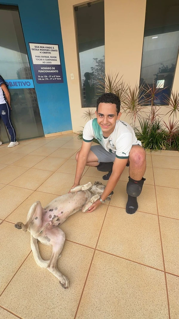 Baiano percorre 4 quilômetros ajoelhado até escola após virada histórica do Palmeiras por Reprodução
