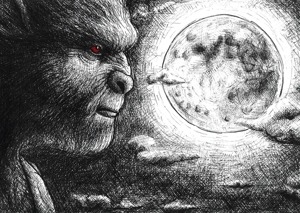 Livro Conheça o Lobisomem do Seu Bairro por Matheus Haas/Reprodução