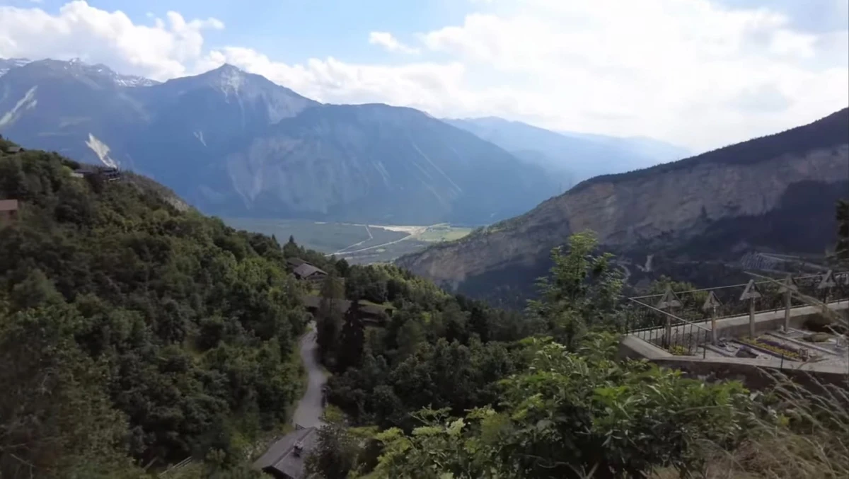 Programa transforma abandono em oportunidade para novas famílias