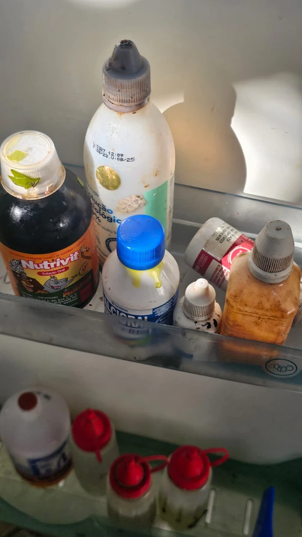 Galos apreendidos em ação na Bahia por Marcela Correia/Ascom PCBA