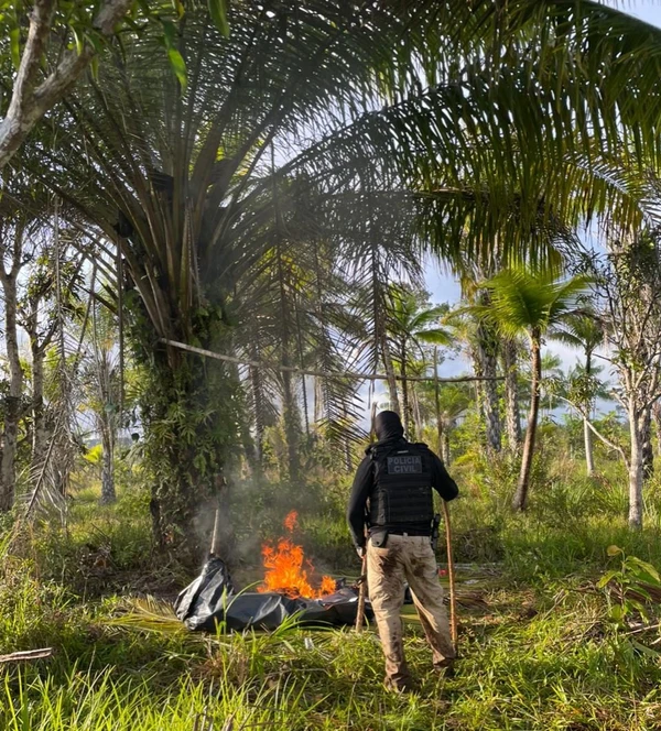 Para conter as atividades do grupo na região, o acampamento foi destruído após operação policial por Divulgação/Ascom PCBA