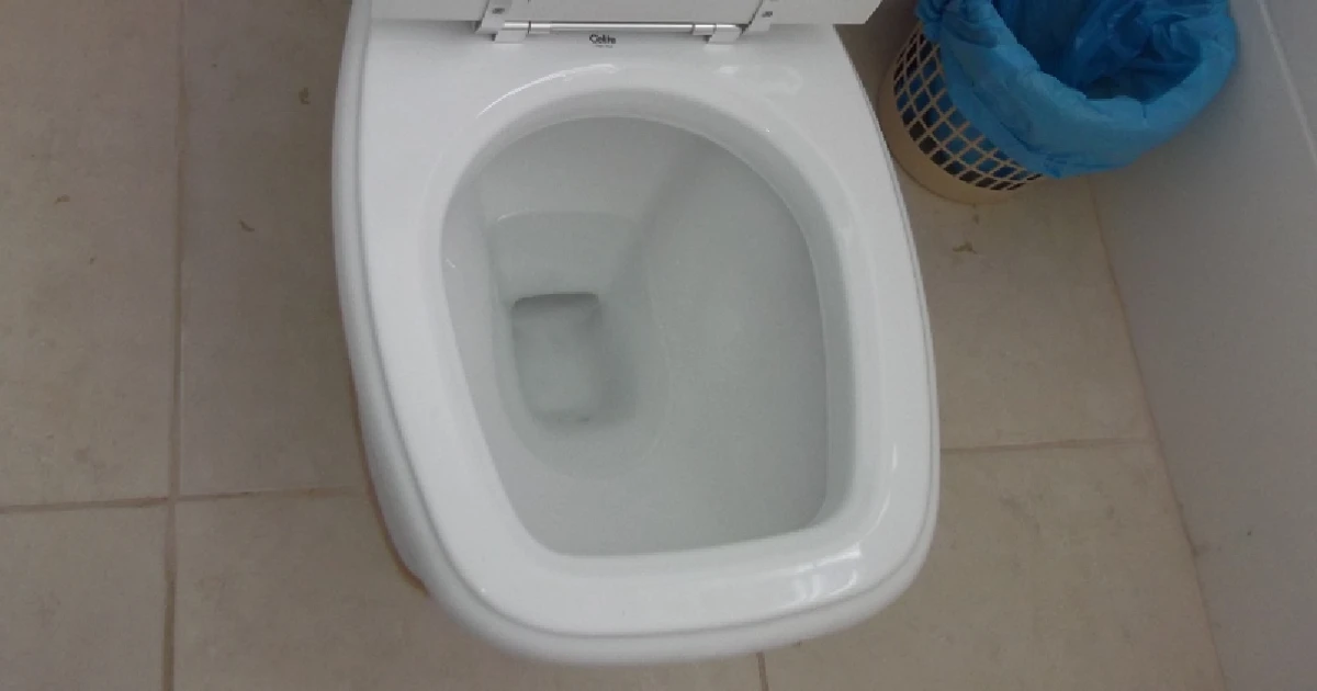 Imagem - Banheiro sempre limpo: produto barato clareia o fundo do vaso em minutos