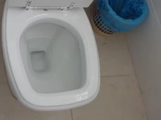 Imagem - Banheiro sempre limpo: produto barato clareia o fundo do vaso em minutos