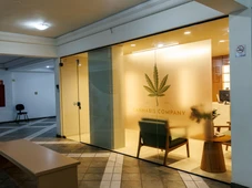 Imagem - Primeira farmácia do Brasil exclusiva para cannabis é inaugurada; saiba mais