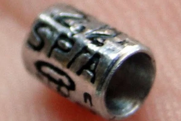 Anilha do Sispass por Reprodução