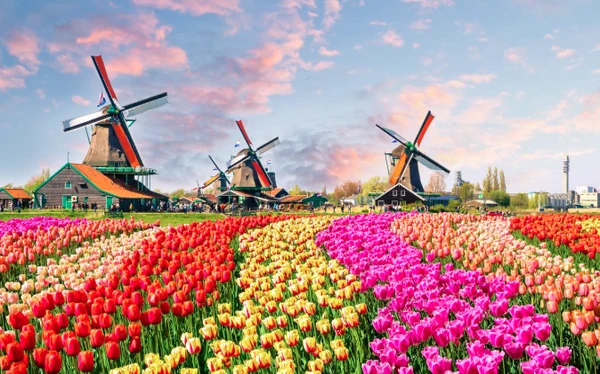 Holanda por Reprodução