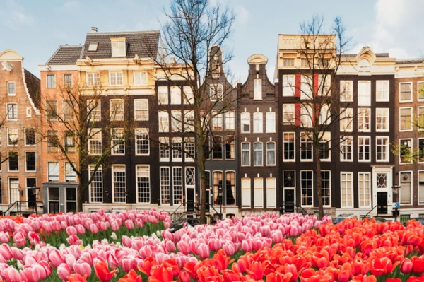 Holanda por Reprodução