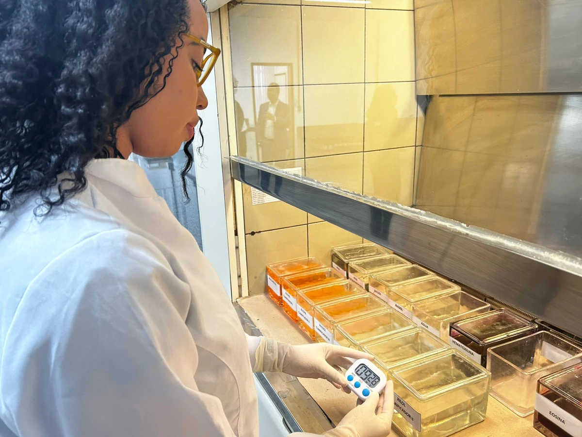 Reforma da Coordenação de Anatomia Patológica do IML por Divulgação / SSP e DPT