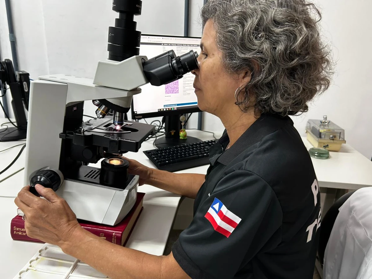 Reforma da Coordenação de Anatomia Patológica do IML