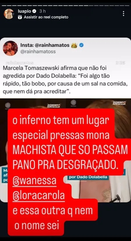 Story de Luana Piovani por Reprodução