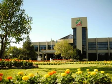 Imagem - Prefeitura abre concurso público com 146 vagas e salários de até R$ 19 mil