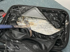 Imagem - Mulher de 22 anos é flagrada com quatro quilos de cocaína no Aeroporto de Salvador