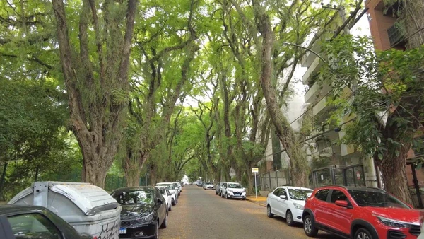 Conhecida mundialmente como “a rua mais bonita do mundo” por internautas, a Rua Gonçalo de Carvalho se tornou símbolo de preservação urbana