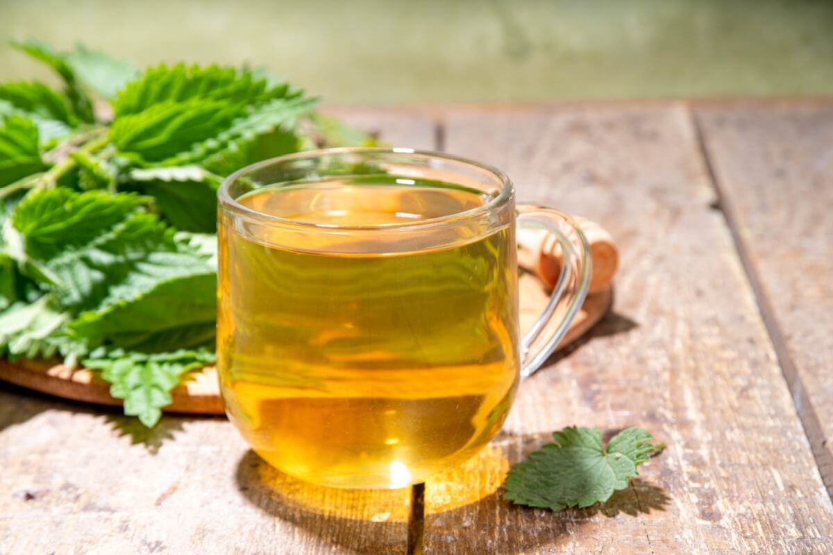 A urtiga é uma planta medicinal que oferece benefícios à saúde (Imagem: Rimma Bondarenko | Shutterstock)