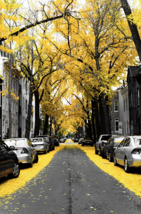 Rua Gonçalo de Carvalho — Porto Alegre (RS) por Reprodução