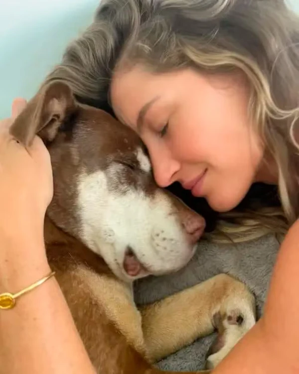 Gisele Bündchen com a cachorra Lua  por Reprodução