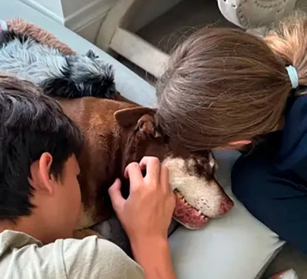 Os filhos de Tom Brady e Gisele Bündchen com a cachorra Lua por Reprodução