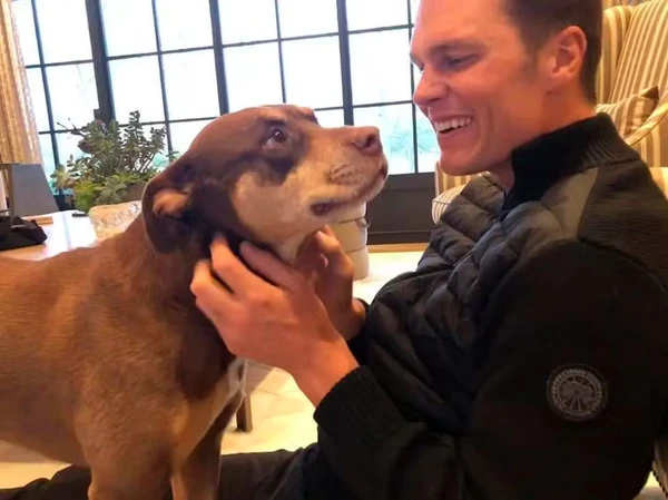 Tom Brady com a cachorra Lua, falecida em 2023 por Reprodução