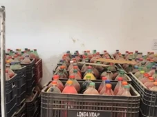 Imagem - Fábrica clandestina de pimenta em conserva é fechada por condições insalubres