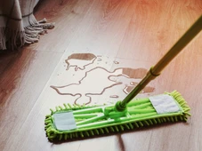 Imagem - Aprenda truques simples e eficazes para eliminar cheiro de xixi de cachorro e manter a casa sempre limpa