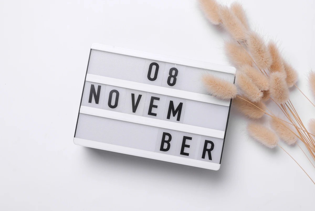 8 de novembro