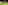Imagem - Vitória x Internacional: veja onde assistir, escalações e arbitragem