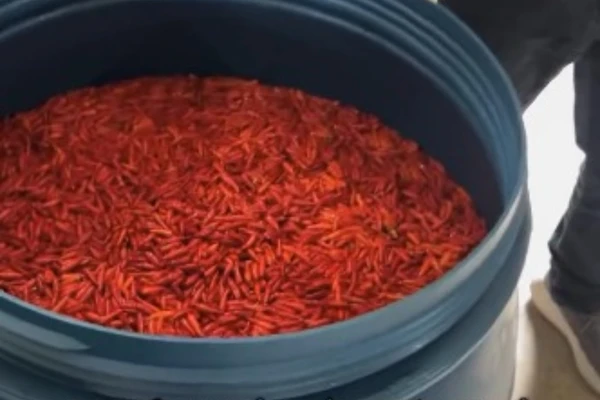 Fábrica foi interditada por Reprodução