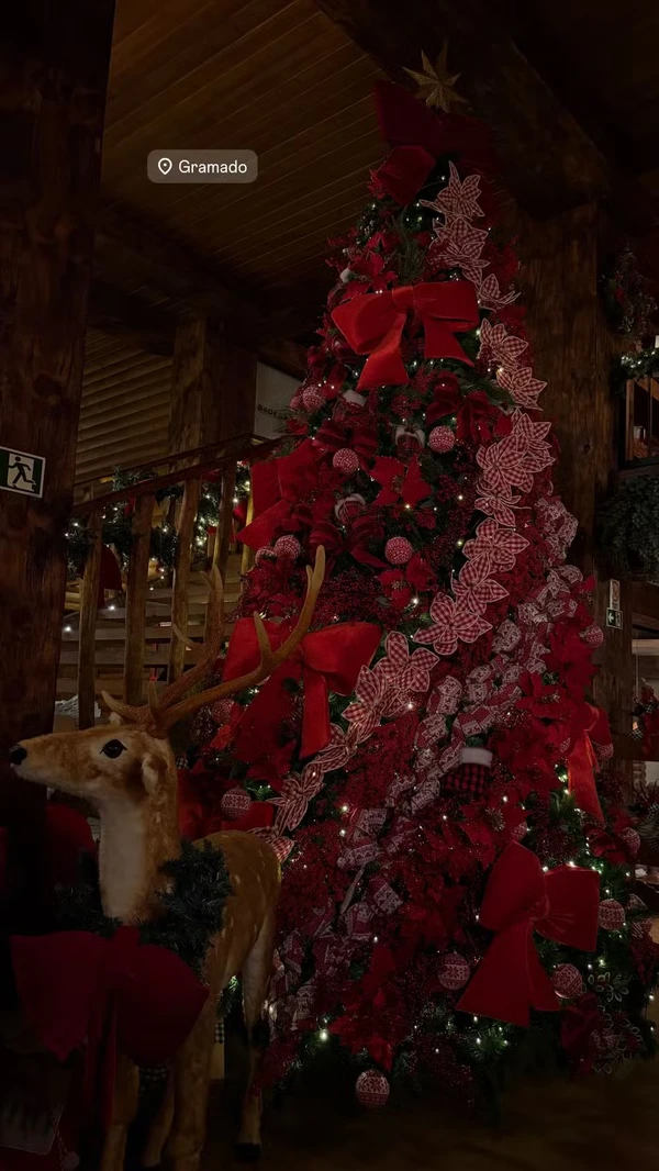 Mari Fernandez e Julia Ribeiro por REPRODUÇÃO