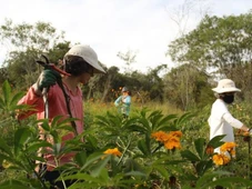 Imagem - Chapada Diamantina ganha novo espaço cultural com arte e ecologia