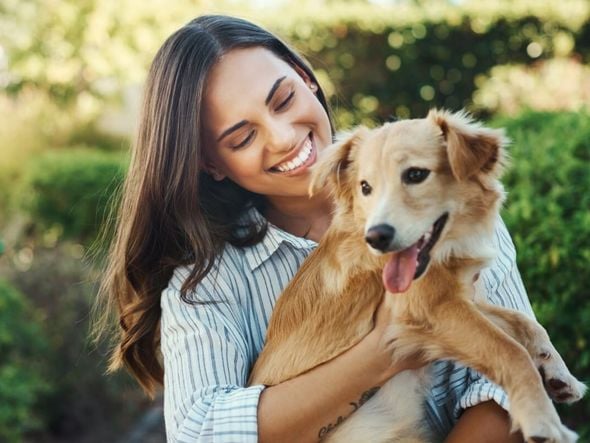 Imagem - 10 nomes ideais para cachorros tímidos 