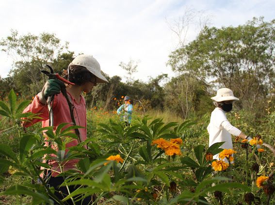 Coletivo Junko na Chapada Diamantina por Divulgação
