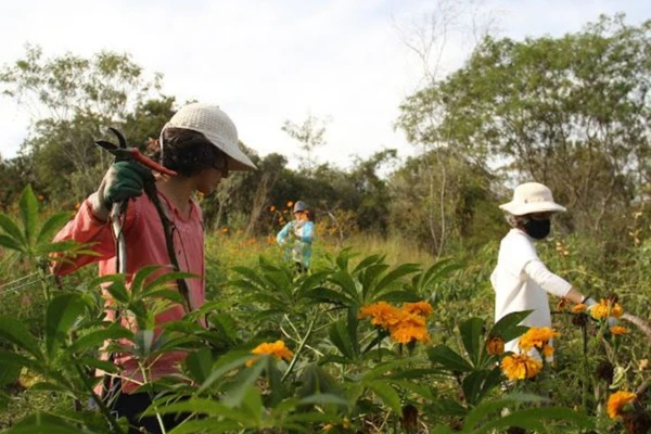 Coletivo Junko na Chapada Diamantina