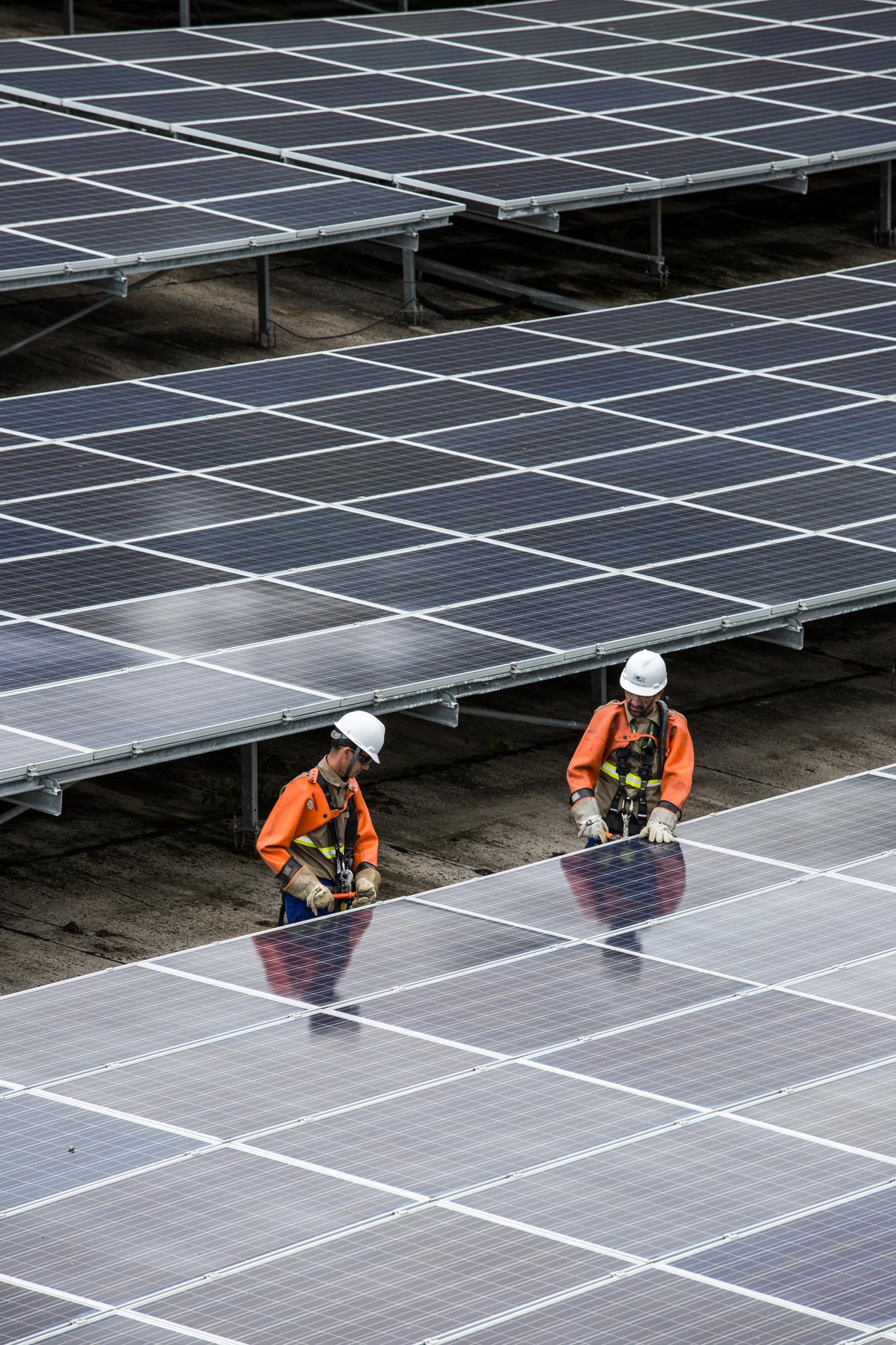 Lançamento da Usina Noronha Verde por Divulgação Neoenergia
