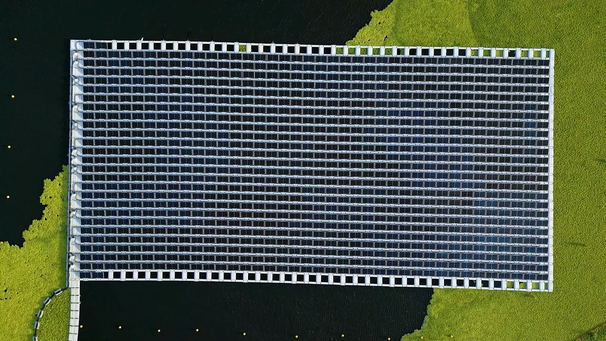 Lançamento da Usina Noronha Verde por Divulgação Neoenergia